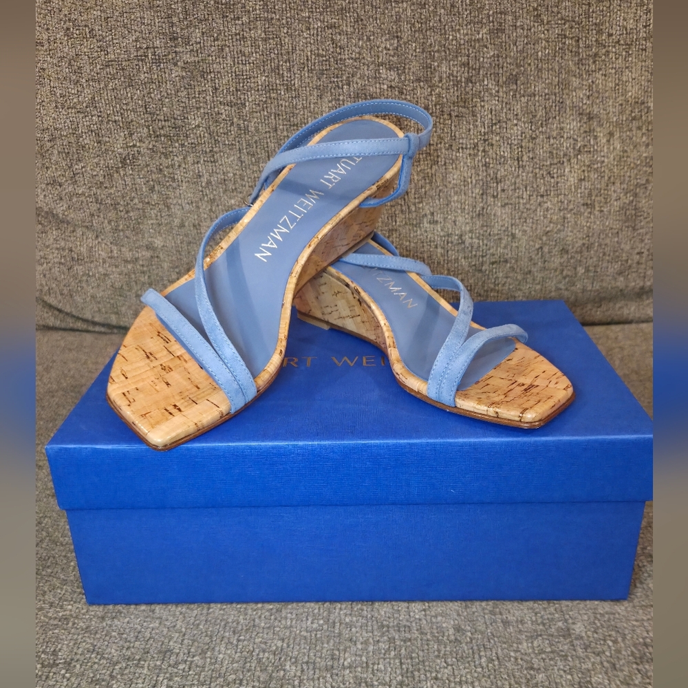 Blue Steel Wedge Shoes